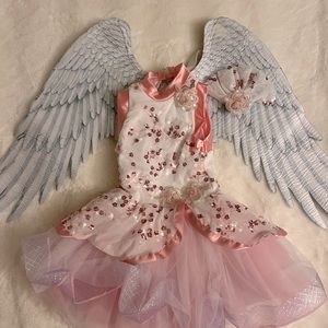 🩰Toddler Girls size XS Ballerina 🩰 dress.
